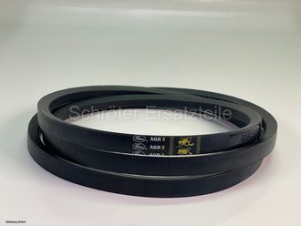 Keilriemensatz SE.D 419643.00 2-Stück