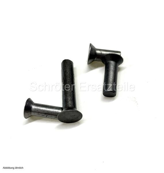 960575_senkniete_konvolut